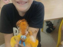 56018990512764942676118527360780604312950003n